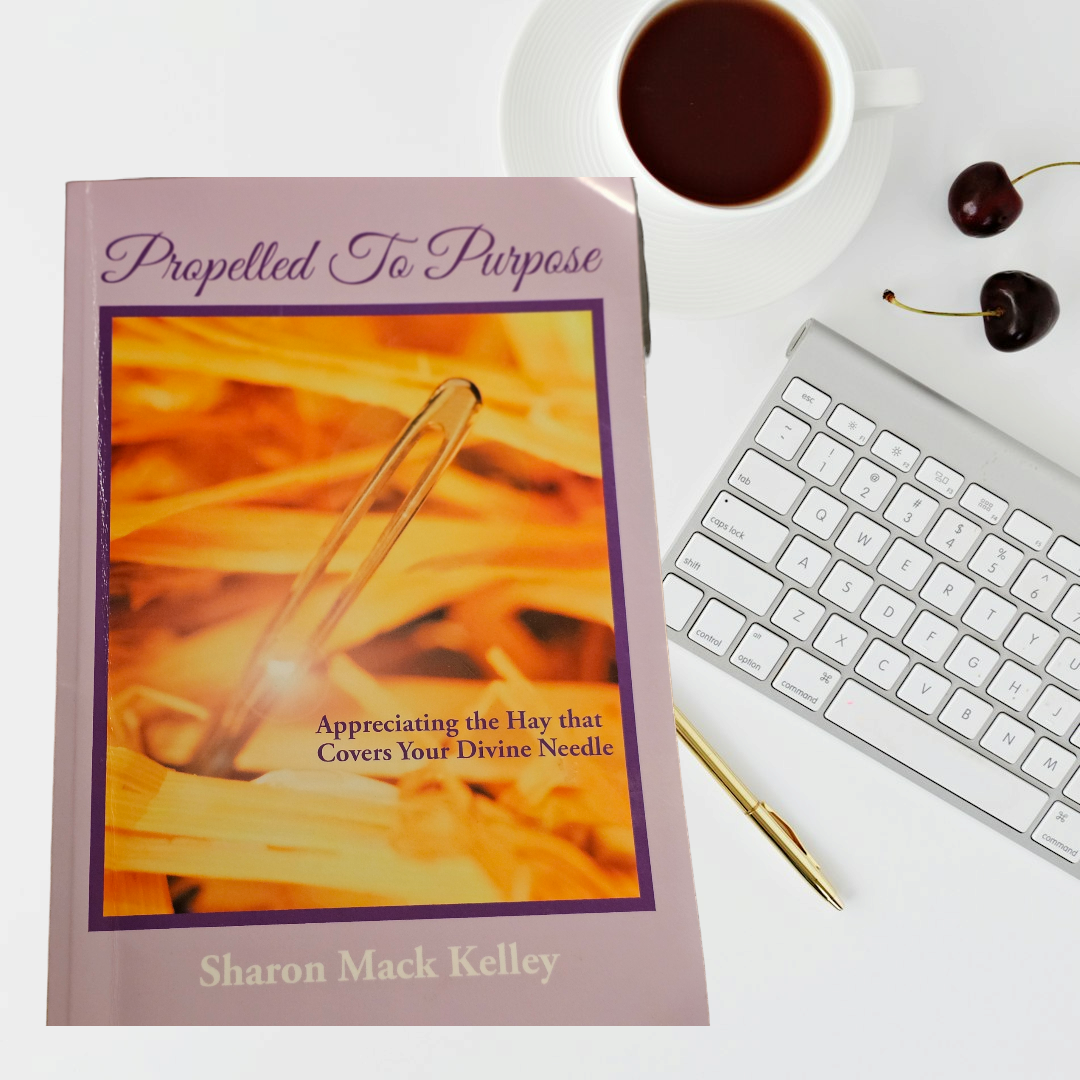 Propelled to Purpose - Appreciating the Hay That Covers Your Divine Needle Paperback Hardcover